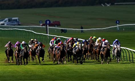 newmarket placepot live.